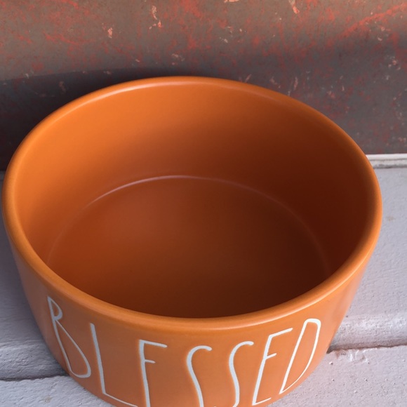 Fall Orange Rae Dunn BLESSED Dog Bowl - Picture 2 of 2